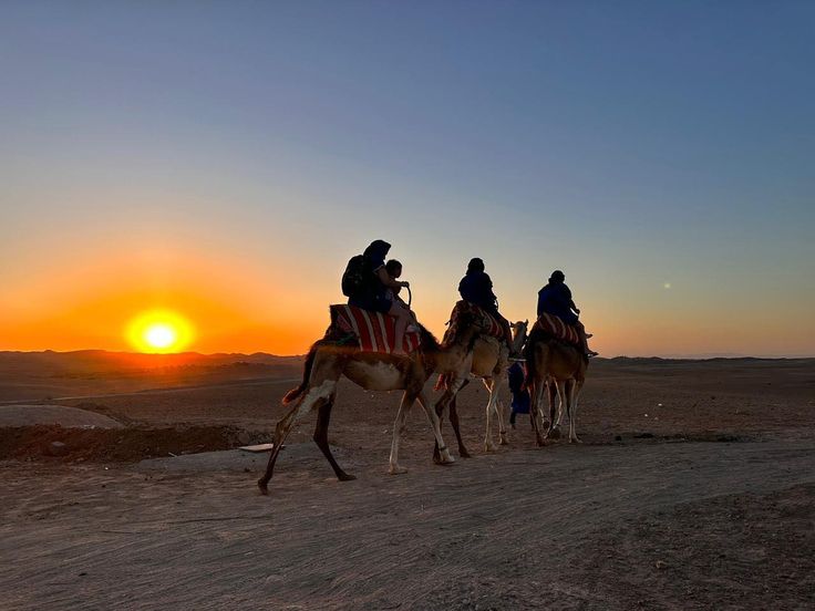 Enjoy a unique evening in Agafay Desert Access to…