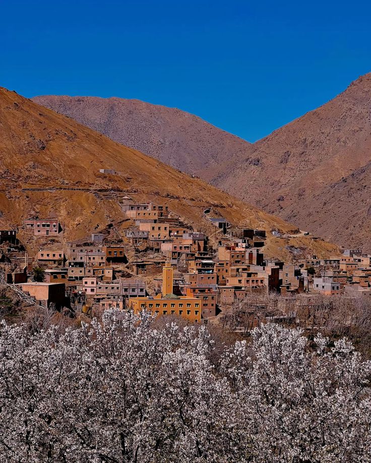 Imlil village in Atlas Mountains marrakech morocco (2)