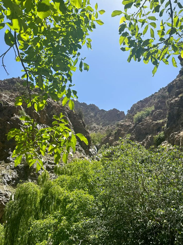Ourika (2)