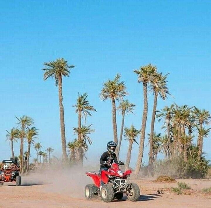2-Hours Palmeraie Marrakech Quad Biking
