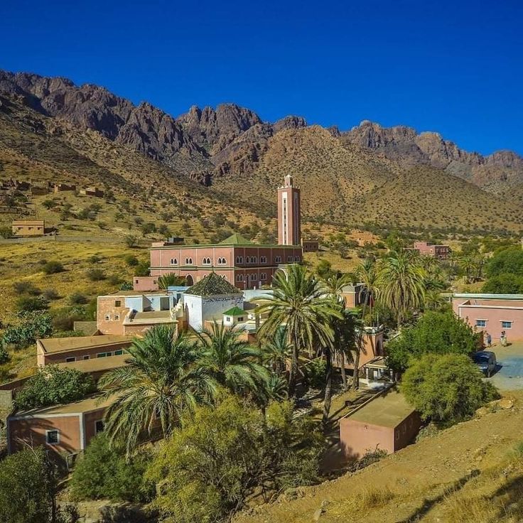 d216df1d-7cf8-48f0-9e7b-959a55499aea